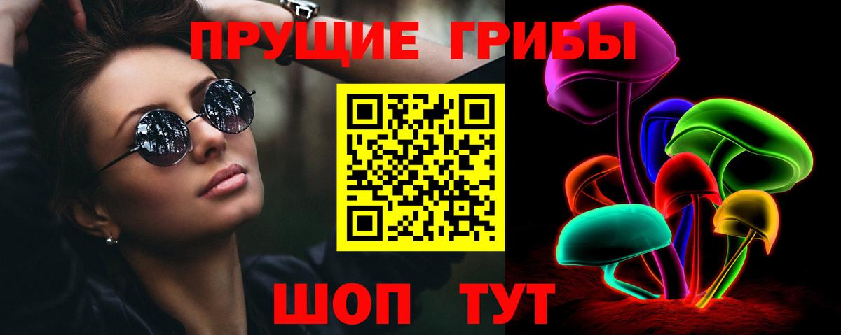 Псилоцибиновые грибы Psilocybe Азов